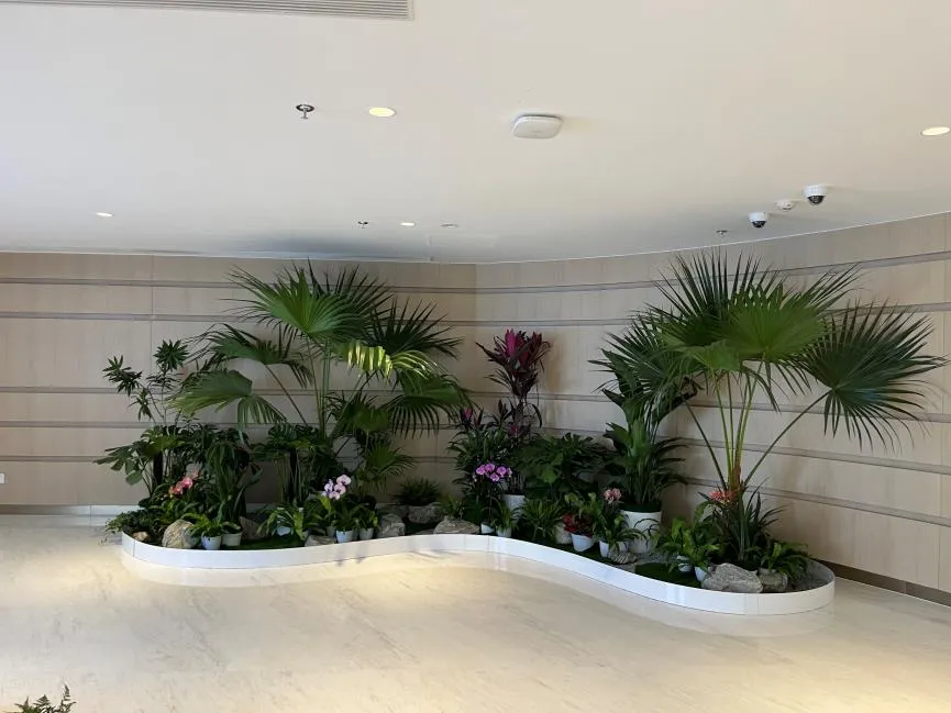 宁波奉化盆景租赁价格